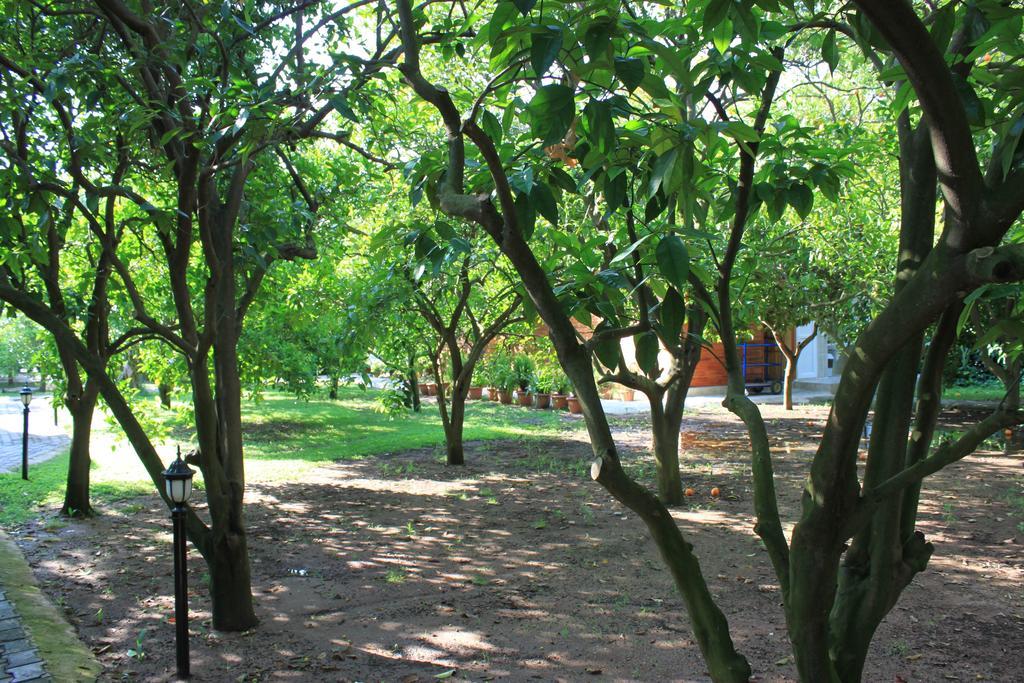 Yildiz Pension Bungalows Çıralı Eksteriør billede