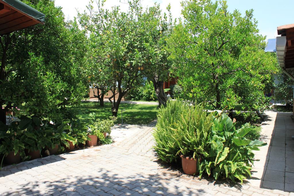 Yildiz Pension Bungalows Çıralı Eksteriør billede