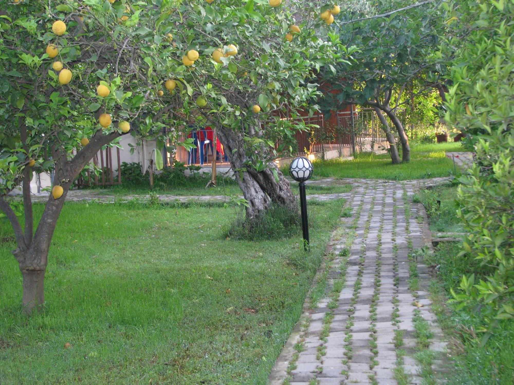 Yildiz Pension Bungalows Çıralı Eksteriør billede