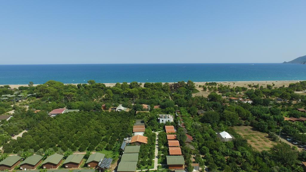Yildiz Pension Bungalows Çıralı Eksteriør billede