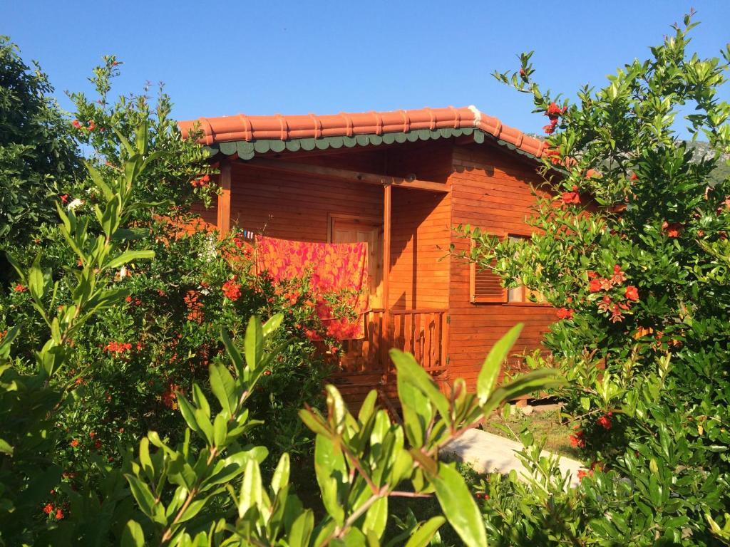Yildiz Pension Bungalows Çıralı Værelse billede